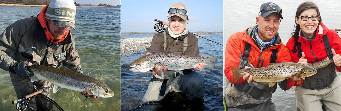 seatrout fishing fyn lodge